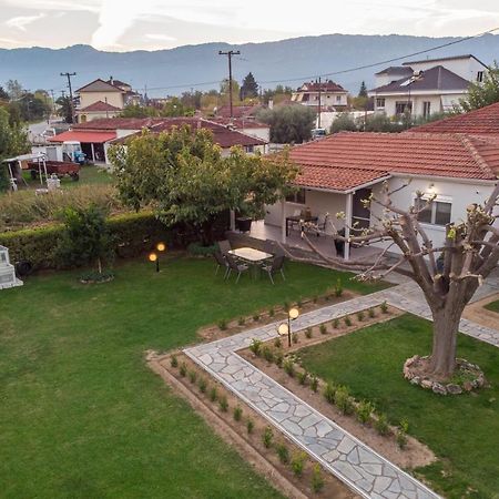 Castellano Vasiliki Villa Vasiliki  Exterior foto